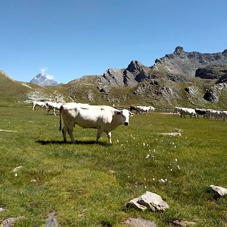 Agriturismo Ciambun Sampeire Buitenkant foto