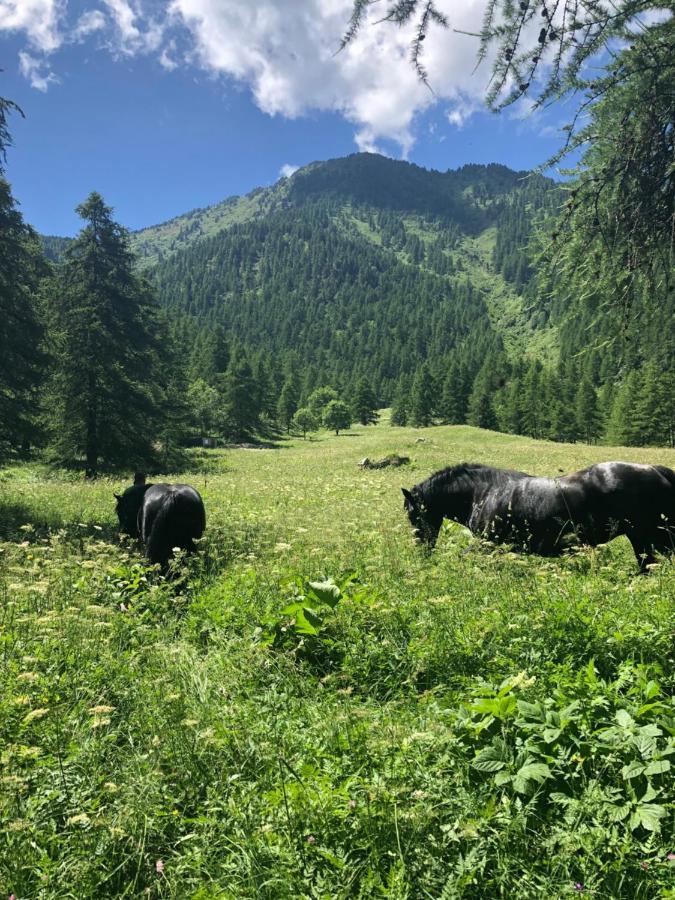 Agriturismo Ciambun Sampeire Buitenkant foto
