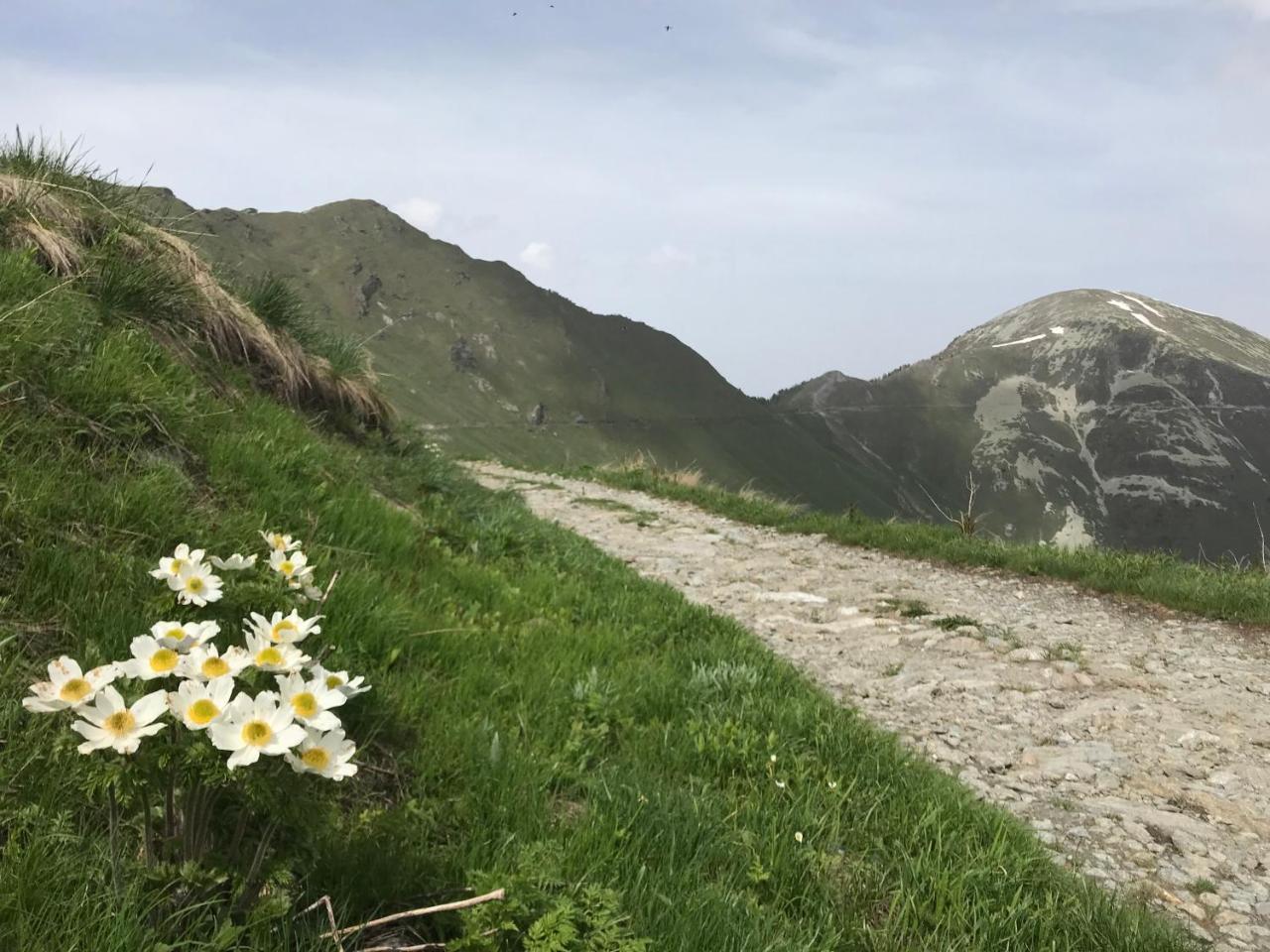 Agriturismo Ciambun Sampeire Buitenkant foto