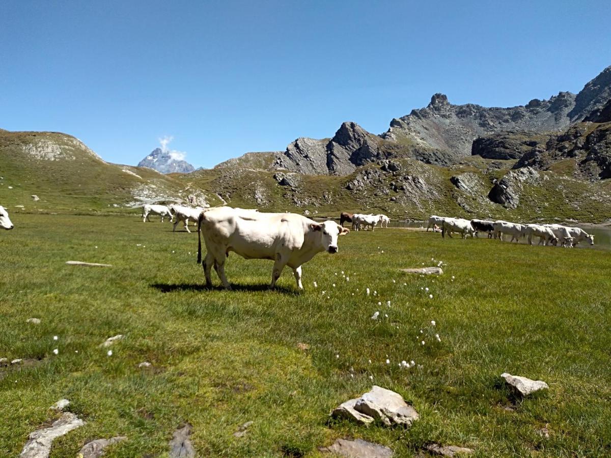 Agriturismo Ciambun Sampeire Buitenkant foto